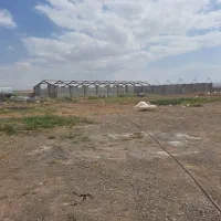 ۱۲ هکتار با ۷۰۰۰ متر گاوداری با مجوز و امکانات|فروش دفتر صنعتی، کشاورزی، تجاری|مرادلو, |دیوار