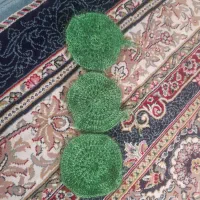 اسکاج ظرفشویی