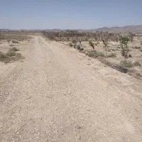 ۵۶۴ مترزمین صفادشت ارغش اباد