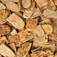 نون خشک فقط بربری