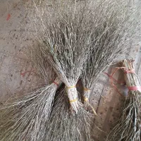جارو چوبی