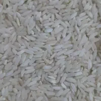 برنج چمپه تمیز کیلو ۲۳۰
