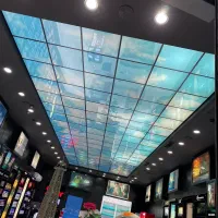 اجرای سقف کاذب / تضمین کف قیمت / مستقیم از کارخانه|خدمات پیشه و مهارت|ساری, |دیوار