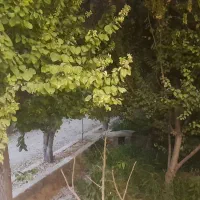 باغچه باغ ۶۲۵متر زیربنا۲۲۰متر فول|اجارهٔ کوتاه‌مدت ویلا و باغ|شهریار, شهرک مصطفی خمینی|دیوار