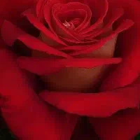 آموزش رانندگی