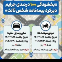 بخشودگی جرایم شخص ثالث