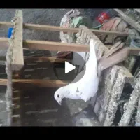 تابلو|تابلو، نقاشی، عکس|فردوس (خراسان), |دیوار