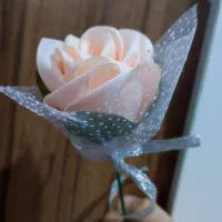 گل گروگن زیبا با روبان|گل مصنوعی|شیراز, اصلاح‌نژاد|دیوار