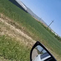 باغ و زمین نزدیک شهر و یک قعطه طرح هادی، معاوضه