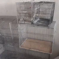 قفس سهره، قناری ، پژاوند ، جوجه پران|لوازم جانبی حیوانات|رباط‌کریم, رباط‌کریم|دیوار