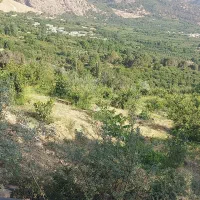 باغ میوه و تفریحی
