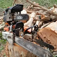 حرس و برش درخت|خدمات باغبانی و درختکاری|تهران, تهرانسر شمالی|دیوار