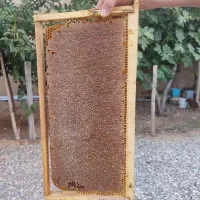 عسل درجه یک به شرط|خوردنی و آشامیدنی|نهاوند, |دیوار