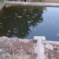 باغچه روستای وشنوه فروش یا معاوضه با تجاری|فروش دفتر صنعتی، کشاورزی، تجاری|قم, ناصردیوان|دیوار