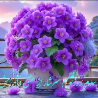 خانه ویلایی دربست