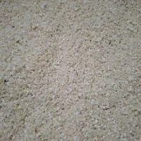 برنج ونیم دانه طارم هاشمی فریدونکنار