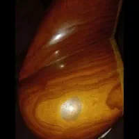 تار داریوش دو مهر|سازهای سنتی|قائمشهر, |دیوار