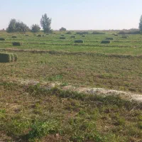 یونجه پرس|عمدهفروشی|قلعه گنج, |دیوار