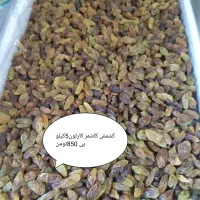 کشمش میمیز امسالی قیمت کشاورز|عمده‌فروشی|سبزوار, مدرس|دیوار