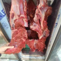 گوشت گوساله  سود کم،فروش بالا