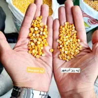 لپه آذر شهر ۱۷۹/۰۰۰  با ضمانت               زود پز