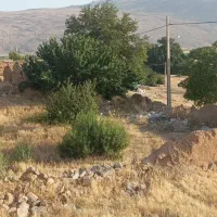 زمین ساختمانی|فروش زمین و ملک کلنگی|دینور, |دیوار