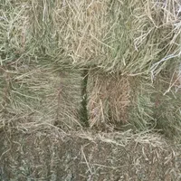 فروش عمده و جزئی یونجه و علوفه دامی