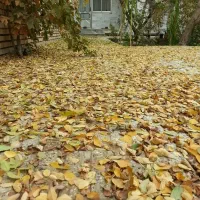 منزل مرکز شهر دانشجویی