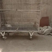 قفس پرورشی مناسب انواع پرنده|لوازم جانبی حیوانات|کرج, استاندارد|دیوار