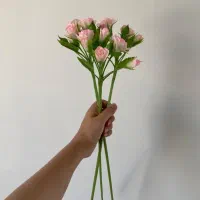 گل های  انعطافی|صنایع دستی و سایر لوازم تزئینی|تهران, تهرانپارس غربی|دیوار