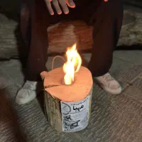 هیزوم و اجاق سوئدی مهیا چوبی