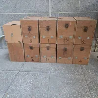 تعداد10 عدد لانه طوطی راهب .گرینچیک .ملنگو