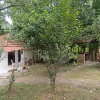 اجاره روزانه سوئیت شهرک جنگلی /بام چالوس