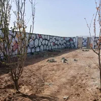 ۲۱۹ متری باغچه خوش قواره کلید تحویل