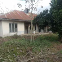 1000متر خانه محوطه قدیمی با امتیازات