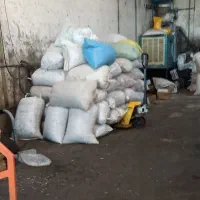 خریدار بادام محب یا پوست کاغذی نقدی|خدمات باغبانی و درختکاری|شهرکرد, |دیوار