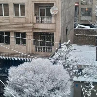 کمک و راهنمایی