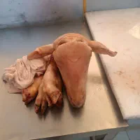 گوشت گوسفندی( کالابرگ)