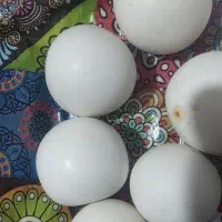 سنگ الماس اسیاب