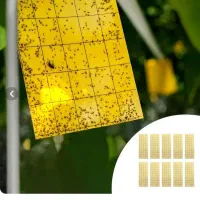 چسب حشرات|لوازم نظافت|اهواز, نادری|دیوار