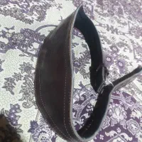 کمربند اندام پهلوانی