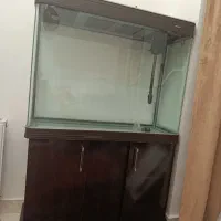 آکواریوم ماهیران