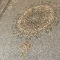 فرش نو|فرش|گیلان غرب, |دیوار