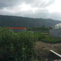 زمین و باغ|فروش زمین و ملک کلنگی|خرم‌آباد (تنکابن), |دیوار