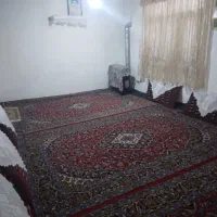 مستاجر  خانم برای هم خانه شدن با یک خانم