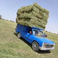 یونجه و سرکلش گندم