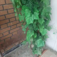گل مصنوعی