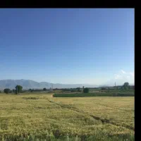 3-هکتار-زمین-بکر-در-نزدیکی-راه-چقوش