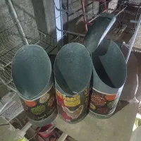 جا حبوباتی و خشکباری در حد نو