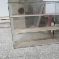 طبقه شیشه ای